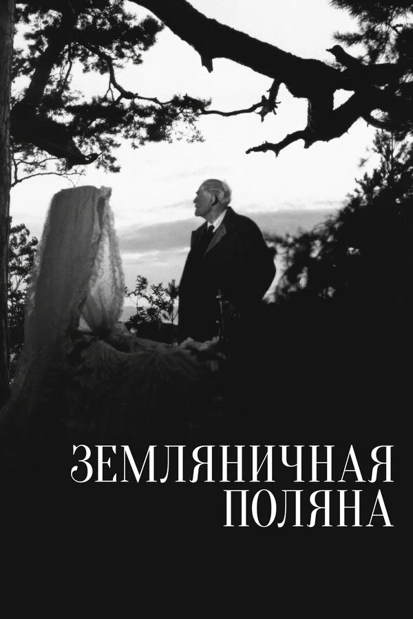 Земляничная поляна постер - смотреть онлайн